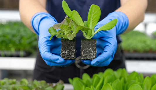 Precision Hydroponic Growers Now Have Two New Climate-Optimized, Automation-Ready OASIS® AeroSubstrates