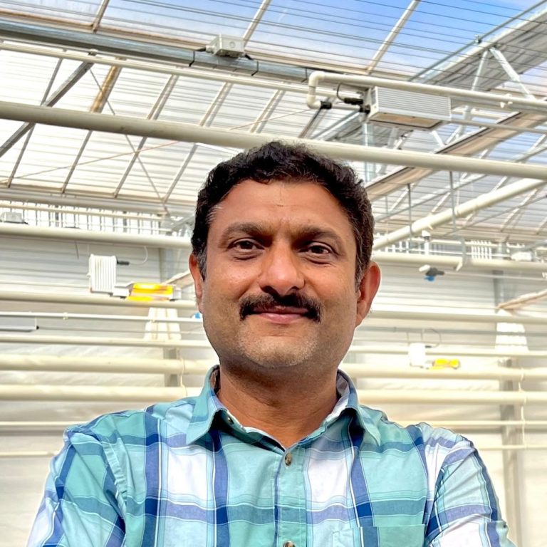 Amerigo Farms Head Grower and Production Manager Dinesh Chaudhari in the greenhouse.